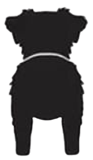 Silueta de Australian Shepherd