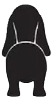 Silueta de Basset Hound