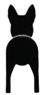 Silueta de Belgian Malinois