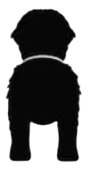 Silueta de Bernese Mountain Dog