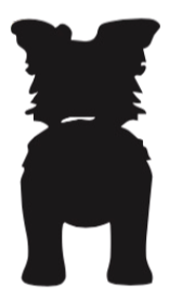 Silueta de Border Collie