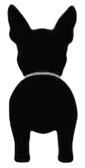 Silueta de Boston Terrier