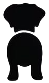 Silueta de Brittany Spaniel