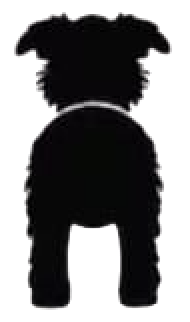 Silueta de Brussels Griffon