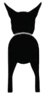 Silueta de Carolina Hound