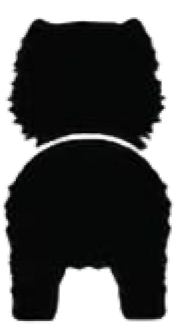 Silueta de Chow Chow