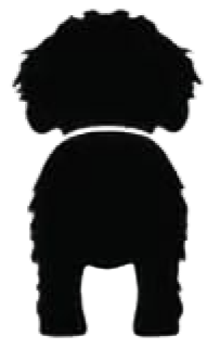Silueta de Cockapoo