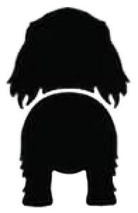 Silueta de Dachshund (pelo largo)