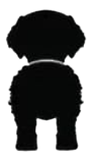 Silueta de Goldendoodle