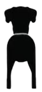 Silueta de Gran Danés