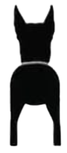 Silueta de Gran Danés (orejas)