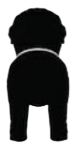 Silueta de Gran Pirineo