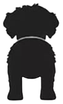 Silueta de Bichón Habanero