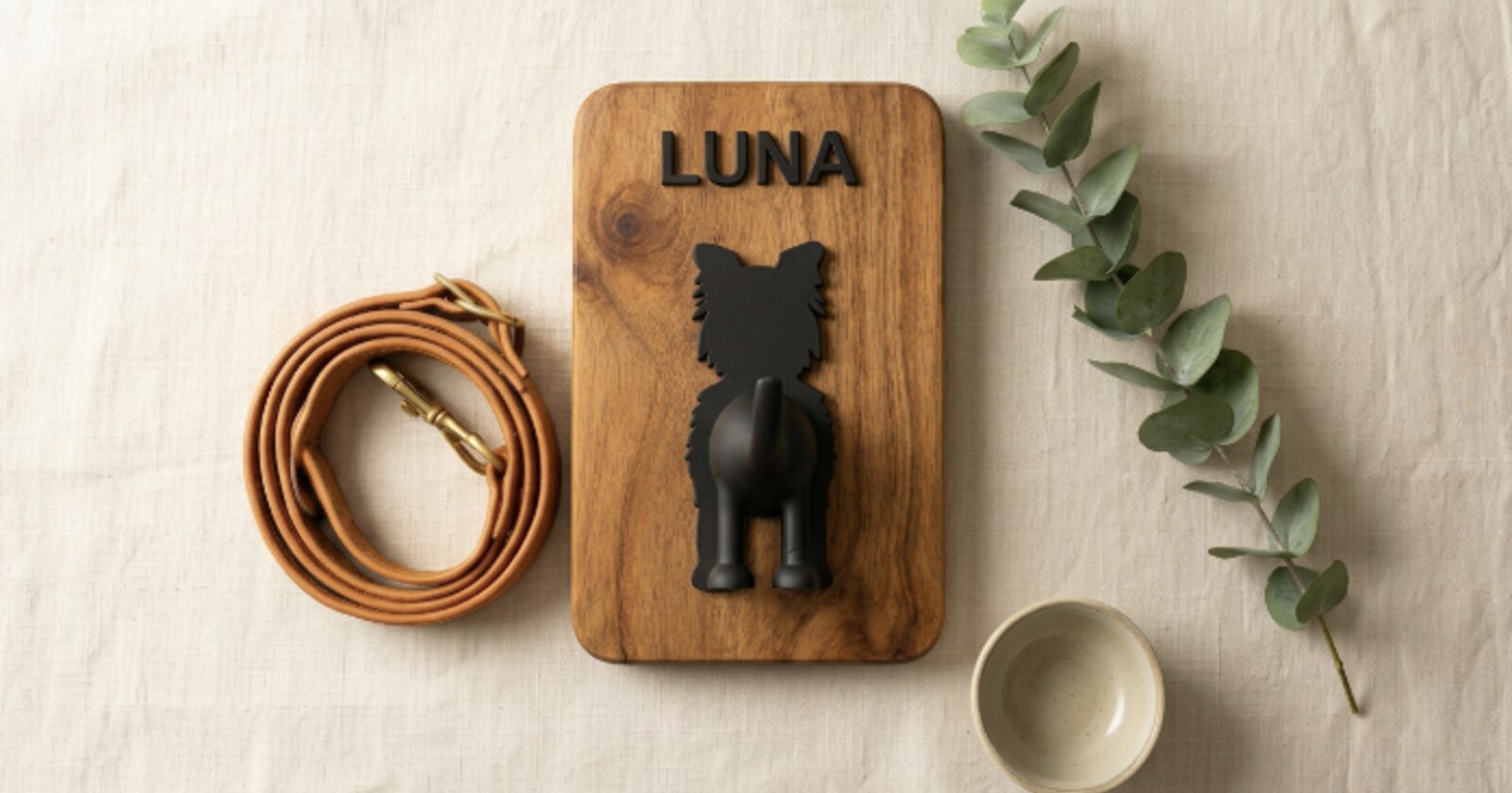 Colgador de correa para perro en la entrada de una casa cálida y luminosa en México