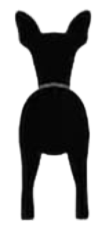 Silueta de Pinscher Miniatura