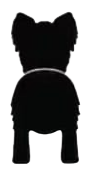 Silueta de Papillón