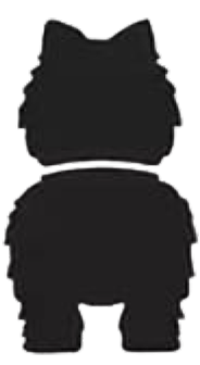 Silueta de Pomerania