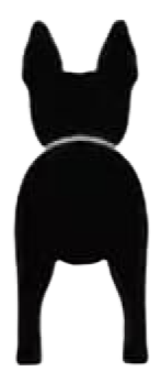 Silueta de Rat Terrier