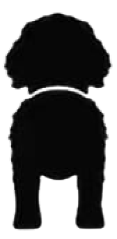 Silueta de San Bernardo