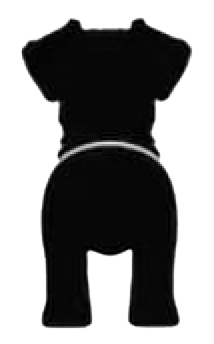 Silueta de Schnauzer