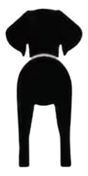 Silueta de Weimaraner