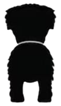 Silueta de Wheaten Terrier